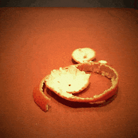 animation clementine GIF by eevr
