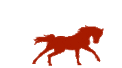 Horse Pf Sticker by SandraFencl