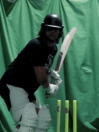 Out Out Duck GIF by Luke Westen