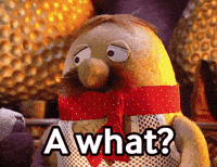 Stop Motion What GIF by Fire Mountain Productions