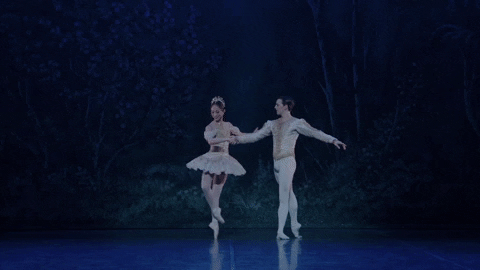 Nutcracker GIF by English National Ballet