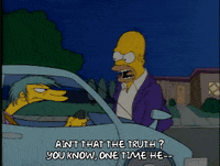 Season 1 Episode 13 GIF by The Simpsons