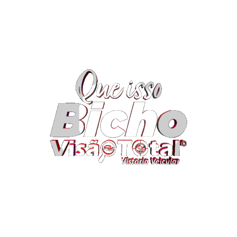 Visaototal Sticker by Visão Total Vistorias