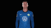 Pavao Pervan Reaction GIF by VfL Wolfsburg