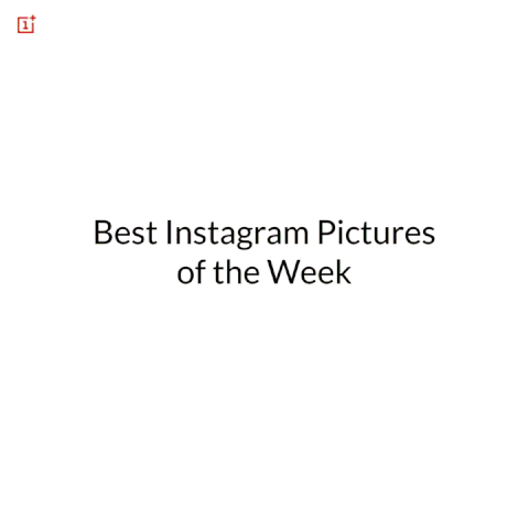 GIF by OnePlus
