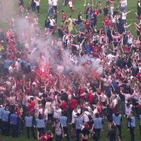 1 Fc Cologne Football GIF by 1. FC Köln