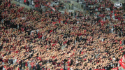 wswanderersfc clap fans west rbb GIF