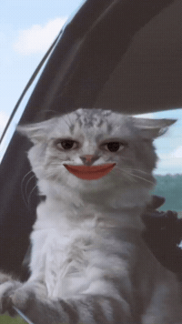 Pearl Hoho GIF