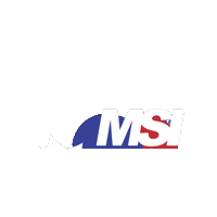Msi Credit Sticker by MSI Credit Solutions