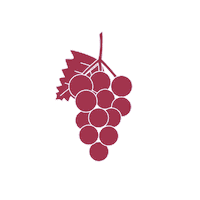 Grape Eye Mask Sticker by Apivita