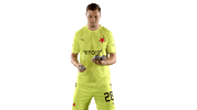 Football Sport Sticker by SK Slavia Praha