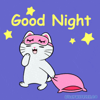 Sleepy Good Night GIF by Silly Kitties