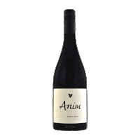 Pinotnoir Sticker by Anim Wine