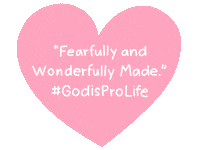 Pro Life Anti Abortion Sticker
