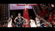 Hanging University Of Houston GIF by Coogfans