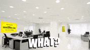 deltoroinsurance what hello shocked surprise GIF