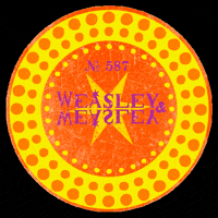 Magic Shop Twins GIF