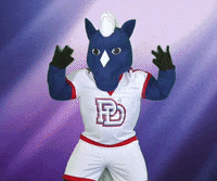 Wave Spirit GIF by Providence Day School