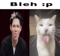 Enhypen GIF