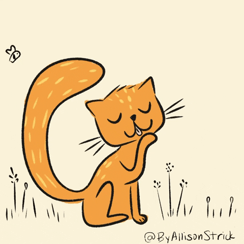 ByAllisonStrick  GIF