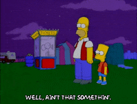 homer simpson GIF