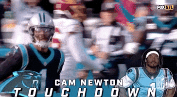 Carolina Panthers Football GIF by NFL