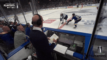 Stanley Cup Playoffs Hockey GIF by NHL