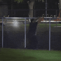 Police Falling GIF by Respective