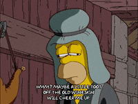 homer simpson GIF