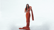 tiabhuvadotcom saree drape saree love tiabhuva GIF
