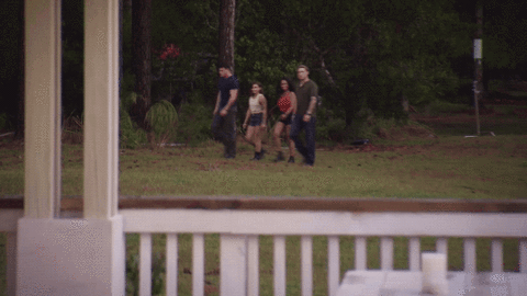 fox tv GIF by American Grit