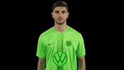 Happy Celebration GIF by VfL Wolfsburg