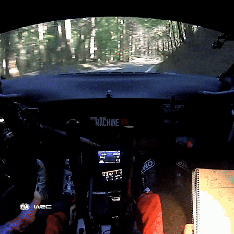 Car Rallying GIF by FIA World Rally Championship