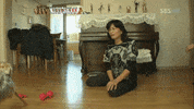 yorkie GIF