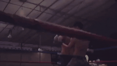 ladykiller giphygifmaker rock bottom rockbottom ladykiller GIF