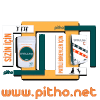 Vegan Protein Sticker by Pitho Spirulina