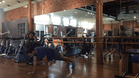 jackrabbit22 giphygifmaker GIF