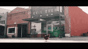 Counter-Strike Team GIF by Evil Geniuses