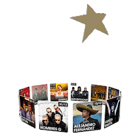 Carrousel Sticker by Starlite Festival