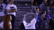 NevadaWolfPack football nevada wolf pack nevada wolf pack GIF