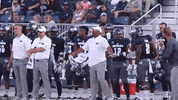 NevadaWolfPack football nevada wolf pack nevada wolf pack GIF