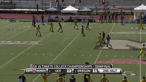 flikulti ultimate frisbee flik GIF