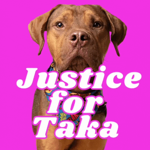 Taka GIF by RescueMeATL