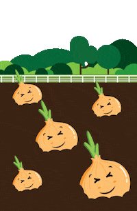 Red Onion Sticker by Gills Onions