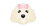 Cute Dog Goldendoodle Sticker by zoopeez