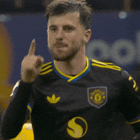 Celebration GIF by Manchester United
