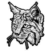 red dead redemption 2 rdr2 Sticker by Rockstar Games