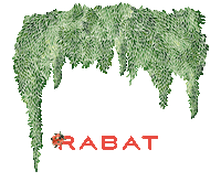 New Store Jewelry Sticker by RABAT