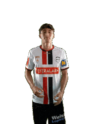 Admira Sticker by KSV1919