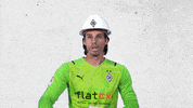 Yann Sommer Bundesliga GIF by Borussia Mönchengladbach